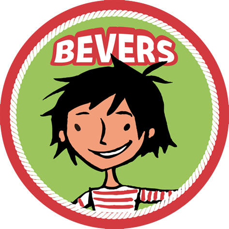 Bevers, 5-8 jaar